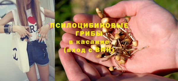 первитин Абаза