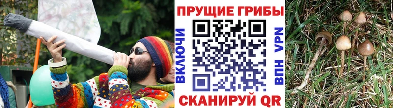 Псилоцибиновые грибы MAGIC MUSHROOMS  Болгар 